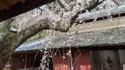 十輪寺(京都府)