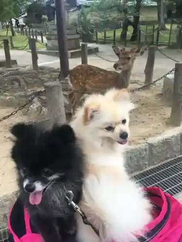 東大寺(奈良県)