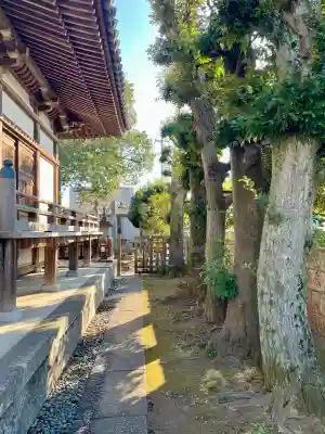 尊勝院の{uncategorized: "未分類", other: "その他", undefined: "問題あり", building: "その他建物", grave: "お墓", sacred_gate: "鳥居", guardian: "狛犬", statue: "像", buddha: "仏像", history: "歴史", nature: "自然", garden: "庭園", animal: "動物", pagoda: "塔", temizu: "手水舎", mountain_gate: "山門・神門", sanctuary: "本殿・本堂", subordinate: "末社・摂社", art: "芸術", scenery: "景色", jizo: "地蔵", ema: "絵馬", goshuin: "御朱印", omikuji: "おみくじ", items: "授与品その他", amulet: "お守り", goshuincho: "御朱印帳", eats: "食事", festival: "お祭り", votive_dance: "神楽", shichigosan: "七五三参", wedding: "結婚式", experience: "体験その他", initially: "初詣", around: "周辺", anti_infection: "感染症対策"}