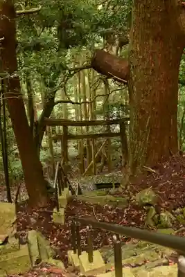天岩戸別神社(徳島県)