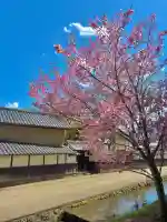 蚊里田八幡宮の{uncategorized: "未分類", other: "その他", undefined: "問題あり", building: "その他建物", grave: "お墓", sacred_gate: "鳥居", guardian: "狛犬", statue: "像", buddha: "仏像", history: "歴史", nature: "自然", garden: "庭園", animal: "動物", pagoda: "塔", temizu: "手水舎", mountain_gate: "山門・神門", sanctuary: "本殿・本堂", subordinate: "末社・摂社", art: "芸術", scenery: "景色", jizo: "地蔵", ema: "絵馬", goshuin: "御朱印", omikuji: "おみくじ", items: "授与品その他", amulet: "お守り", goshuincho: "御朱印帳", eats: "食事", festival: "お祭り", votive_dance: "神楽", shichigosan: "七五三参", wedding: "結婚式", experience: "体験その他", initially: "初詣", around: "周辺", anti_infection: "感染症対策"}