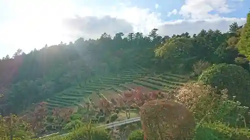 零羊崎神社の景色