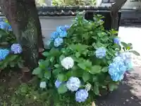 妙楽寺(神奈川県)