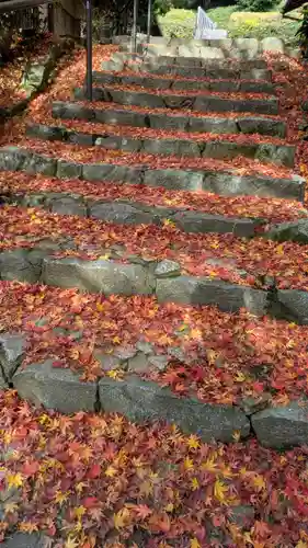 高倉天皇皇后　大原西陵(京都府)