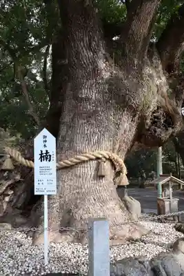 大麻比古神社(徳島県)