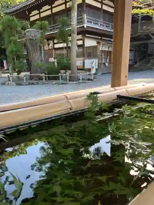 伊太祁曽神社(和歌山県)