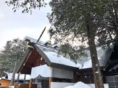 北海道神宮の本殿・本堂