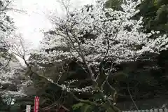 若山神社(大阪府)