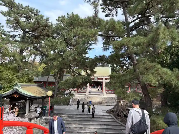 住吉大社の景色