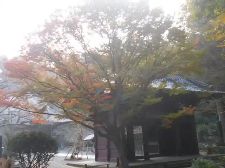 妙本寺の山門・神門