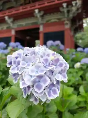 楽法寺(雨引観音)(茨城県)