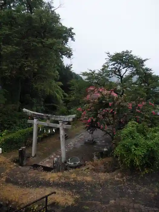 瀧野神社の鳥居