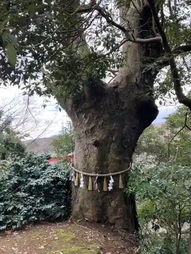 胞姫神社(新潟県)