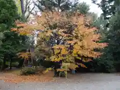 越中一宮 髙瀬神社の自然