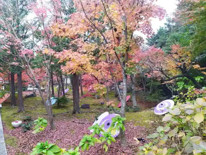 勝林寺(京都府)
