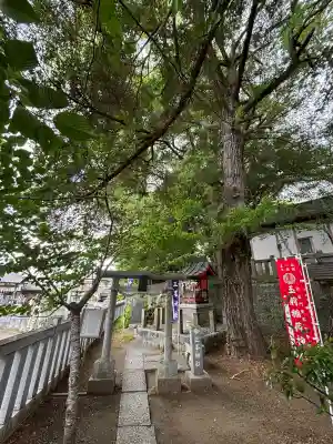 玉前神社の{uncategorized: "未分類", other: "その他", undefined: "問題あり", building: "その他建物", grave: "お墓", sacred_gate: "鳥居", guardian: "狛犬", statue: "像", buddha: "仏像", history: "歴史", nature: "自然", garden: "庭園", animal: "動物", pagoda: "塔", temizu: "手水舎", mountain_gate: "山門・神門", sanctuary: "本殿・本堂", subordinate: "末社・摂社", art: "芸術", scenery: "景色", jizo: "地蔵", ema: "絵馬", goshuin: "御朱印", omikuji: "おみくじ", items: "授与品その他", amulet: "お守り", goshuincho: "御朱印帳", eats: "食事", festival: "お祭り", votive_dance: "神楽", shichigosan: "七五三参", wedding: "結婚式", experience: "体験その他", initially: "初詣", around: "周辺", anti_infection: "感染症対策"}