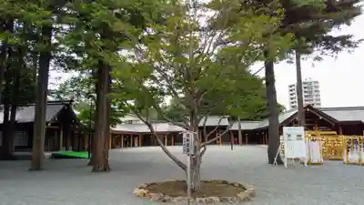 北海道神宮のその他建物