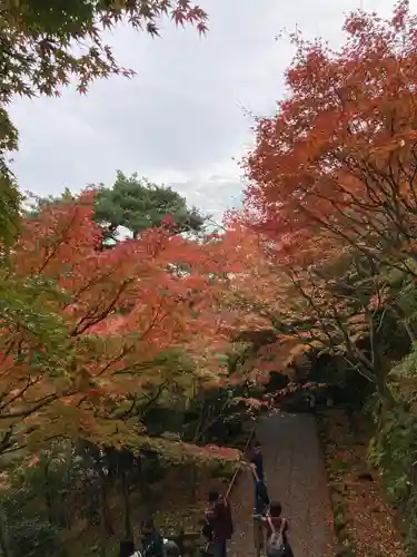 長谷寺(神奈川県)