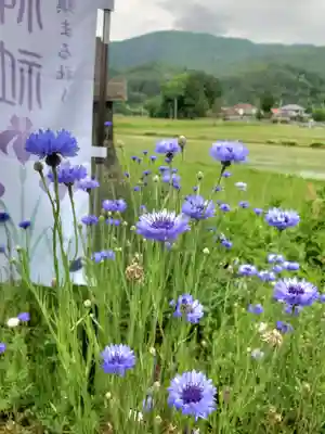 高司神社〜むすびの神の鎮まる社〜(福島県)