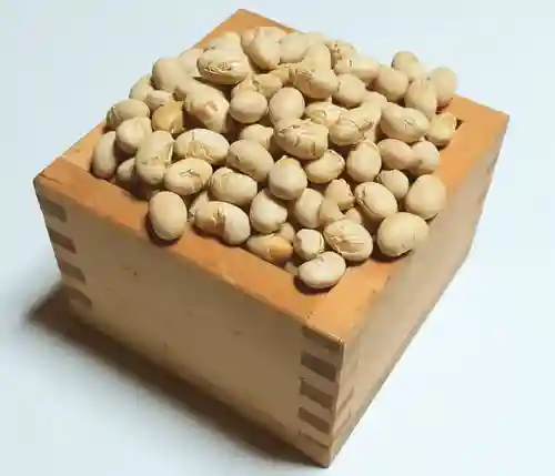 くまくま神社(導きの社 熊野町熊野神社)のお祭り