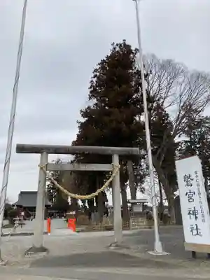 鷲宮神社の鳥居