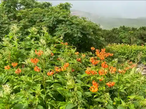 白山比咩神社　奥宮(石川県)