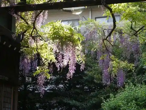 國領神社の庭園