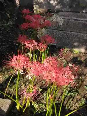 玉鳳寺(東京都)