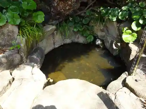 師岡熊野神社の建物その他