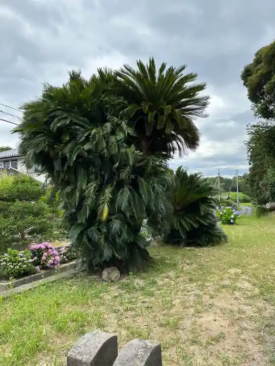 静間神社(島根県)