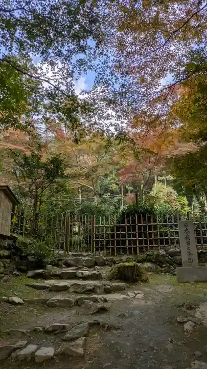 高山寺(京都府)