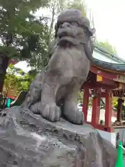 浅草神社の狛犬