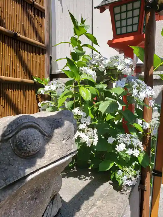 十番稲荷神社の自然