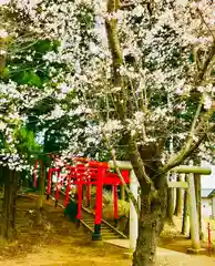 神谷稲荷神社の鳥居