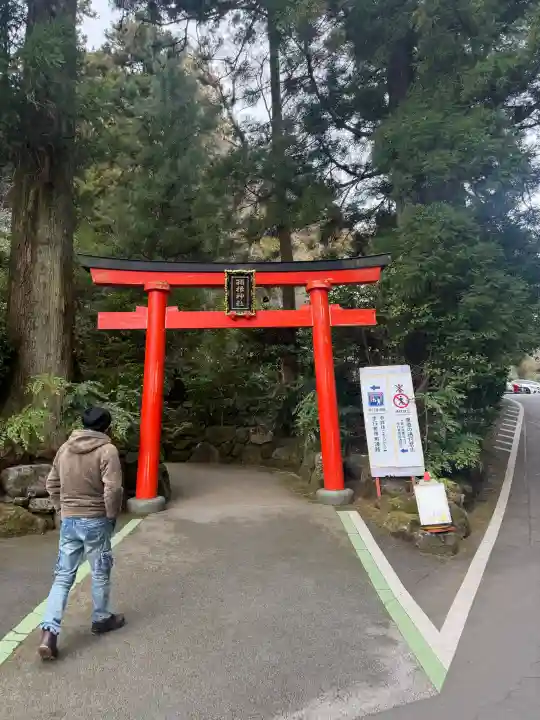 箱根神社の{uncategorized: "未分類", other: "その他", undefined: "問題あり", building: "その他建物", grave: "お墓", sacred_gate: "鳥居", guardian: "狛犬", statue: "像", buddha: "仏像", history: "歴史", nature: "自然", garden: "庭園", animal: "動物", pagoda: "塔", temizu: "手水舎", mountain_gate: "山門・神門", sanctuary: "本殿・本堂", subordinate: "末社・摂社", art: "芸術", scenery: "景色", jizo: "地蔵", ema: "絵馬", goshuin: "御朱印", omikuji: "おみくじ", items: "授与品その他", amulet: "お守り", goshuincho: "御朱印帳", eats: "食事", festival: "お祭り", votive_dance: "神楽", shichigosan: "七五三参", wedding: "結婚式", experience: "体験その他", initially: "初詣", around: "周辺", anti_infection: "感染症対策"}