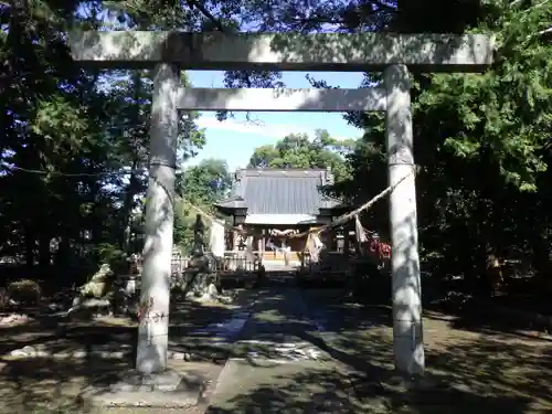 許禰神社の鳥居