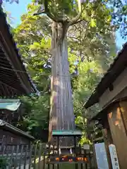 事任八幡宮(静岡県)