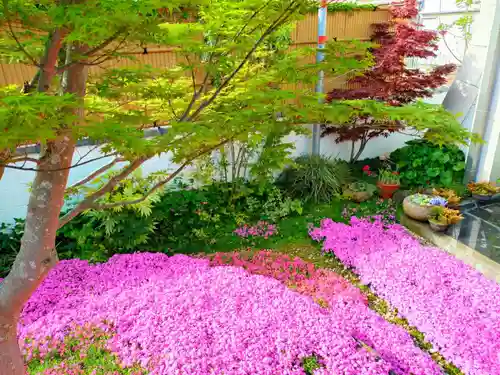 寿量山　速成寺(奈良県)