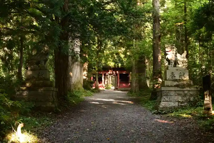戸隠神社奥社(長野県)