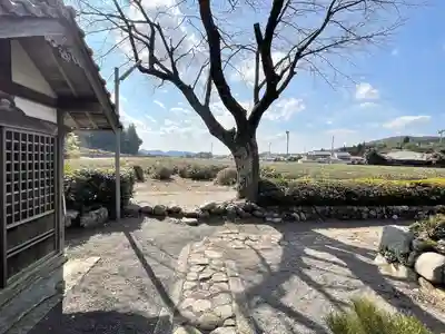 妙楽寺(滋賀県)