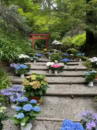 岡寺（龍蓋寺）の{uncategorized: "未分類", other: "その他", undefined: "問題あり", building: "その他建物", grave: "お墓", sacred_gate: "鳥居", guardian: "狛犬", statue: "像", buddha: "仏像", history: "歴史", nature: "自然", garden: "庭園", animal: "動物", pagoda: "塔", temizu: "手水舎", mountain_gate: "山門・神門", sanctuary: "本殿・本堂", subordinate: "末社・摂社", art: "芸術", scenery: "景色", jizo: "地蔵", ema: "絵馬", goshuin: "御朱印", omikuji: "おみくじ", items: "授与品その他", amulet: "お守り", goshuincho: "御朱印帳", eats: "食事", festival: "お祭り", votive_dance: "神楽", shichigosan: "七五三参", wedding: "結婚式", experience: "体験その他", initially: "初詣", around: "周辺", anti_infection: "感染症対策"}