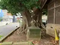 白旗神社(千葉県)