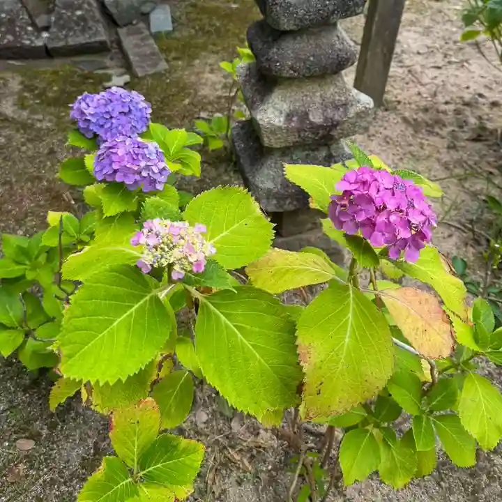 伊勢の国 四天王寺(三重県)