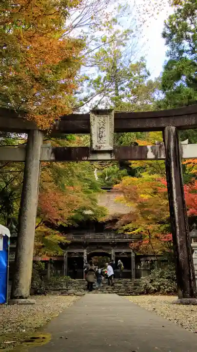 大矢田神社(岐阜県)