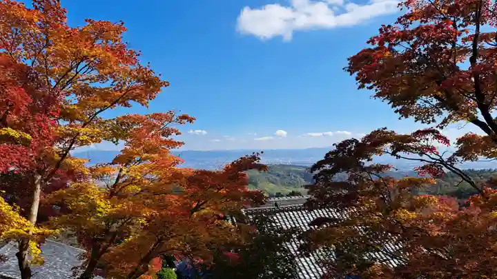 善峯寺(京都府)