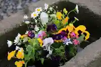 熊野福藏神社の手水舎