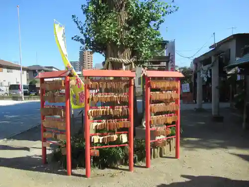 川越八幡宮(埼玉県)