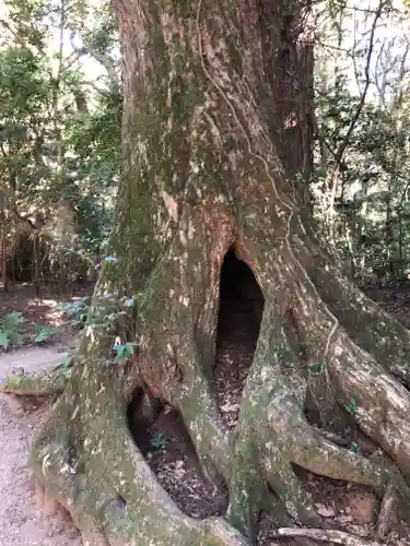 鹿島神宮の自然