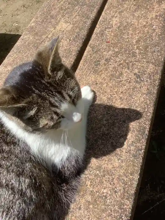 玉野御嶽神社の動物