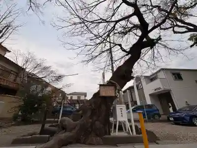 田光八幡社の{uncategorized: "未分類", other: "その他", undefined: "問題あり", building: "その他建物", grave: "お墓", sacred_gate: "鳥居", guardian: "狛犬", statue: "像", buddha: "仏像", history: "歴史", nature: "自然", garden: "庭園", animal: "動物", pagoda: "塔", temizu: "手水舎", mountain_gate: "山門・神門", sanctuary: "本殿・本堂", subordinate: "末社・摂社", art: "芸術", scenery: "景色", jizo: "地蔵", ema: "絵馬", goshuin: "御朱印", omikuji: "おみくじ", items: "授与品その他", amulet: "お守り", goshuincho: "御朱印帳", eats: "食事", festival: "お祭り", votive_dance: "神楽", shichigosan: "七五三参", wedding: "結婚式", experience: "体験その他", initially: "初詣", around: "周辺", anti_infection: "感染症対策"}